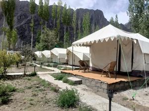 a row of tents in a field with mountains in the background at Town Front Camping in Leh