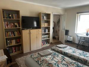 a living room with a bed and a tv and book shelves at Bor-Túra Apartman in Badacsonytördemic