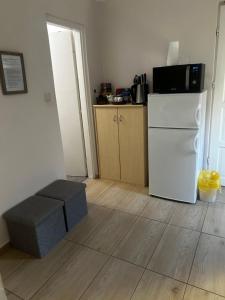 a kitchen with a white refrigerator and a microwave at Bor-Túra Apartman in Badacsonytördemic +5 photos