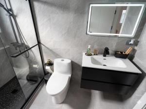 a bathroom with a toilet and a sink and a mirror at Petit Paradise in Noord +4 photos