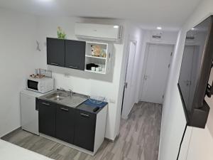 a small kitchen with a sink and a microwave at Olimp Sea View Studio in Olimp