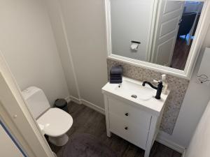a bathroom with a toilet and a sink and a mirror at Hamina Bastion Apartments in Hamina +42 photos