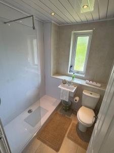 a bathroom with a toilet and a shower and a sink at Bellshill 2 Bed Apartment in Bellshill