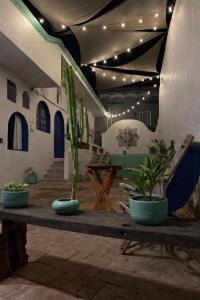 a room with potted plants on a wooden table at Sayu Life in Sayulita