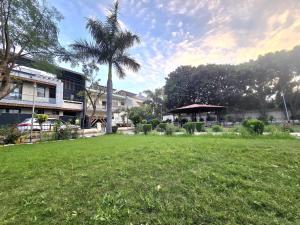 a green field with a palm tree and a building at Kanwar Homestay in Amritsar