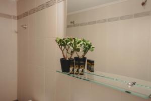a shelf with two plants on it in a bathroom at Almy Sea Apartment in Karistos +16 photos