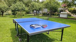 a blue ping pong table in a park at Vakantiewoning Deltahof in Ellewoutsdijk