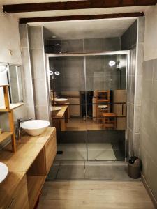 a bathroom with a shower and a sink at Maillas D'en Haut in LʼIsle-en-Dodon +7 photos