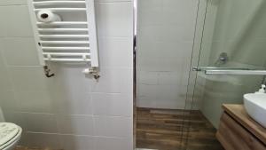 a bathroom with a shower with a toilet and a sink at Apartment Licka Vodenica in Josipdol +42 photos