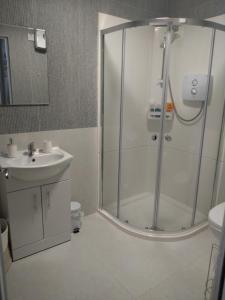 a bathroom with a shower and a sink at Codladh Sámh Apartment No 1 in Templemore