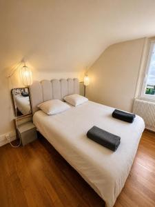 a bedroom with a large white bed with two pillows at La Petite Luce in Le Vaudreuil