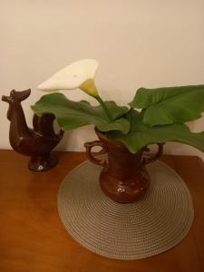 a vase with a flower in it on a table at Cozy Central Nest Kotor in Kotor +21 photos