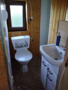 a bathroom with a toilet and a sink at Domček pri vode Pohoda in Teplý Vrch +16 photos