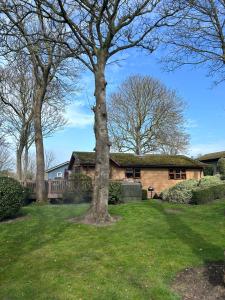 a house with a tree in the yard at Woodside Lodge, Weybourne, Holt in Weybourne