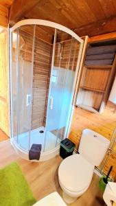 a bathroom with a toilet and a shower in a room at Domek BB in Podgórzyn