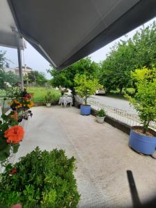 a patio with several potted plants and flowers at Tania's house in Tríkala
