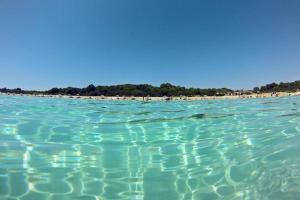 a large body of water with a beach in the background at SEA HOUSE pool & jacuzzi, bikes, SUP - PRIVILEGE POINT camping & villas in Selce