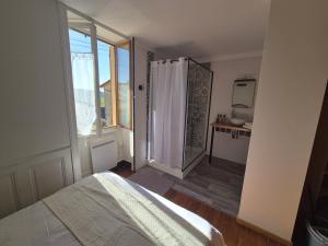 a bedroom with a bed and a shower and a sink at Studio Cosy La Parenthèse in Ambérieu-en-Bugey