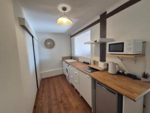 a kitchen with a counter top with a microwave at Studio Cosy La Parenthèse in Ambérieu-en-Bugey
