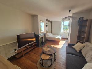 a living room with a couch and a tv at Studio Cosy La Parenthèse in Ambérieu-en-Bugey