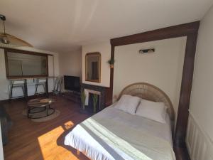 a bedroom with a bed and a tv and a fireplace at Studio Cosy La Parenthèse in Ambérieu-en-Bugey