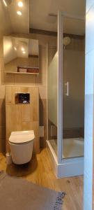 a bathroom with a white toilet and a shower at Apartamenty u drwala in Zakopane