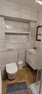 a white bathroom with a toilet and a sink at Apartamenty u drwala in Zakopane