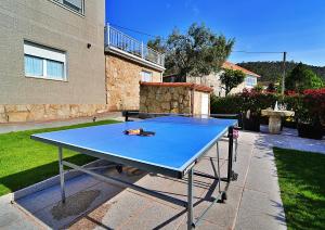 a blue ping pong table in a yard at GALIHOST - A Casa do Olivo in Meis