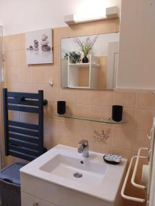 a bathroom with a sink and a mirror at Palmiers 1 in Barbotan-les-Thermes