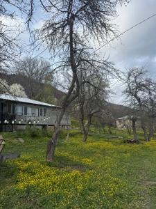 a tree in the middle of a field of flowers at guesthouse twins in svaneti in Mestia