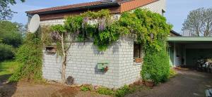 a house covered in plants and vines at Geschmackvolles Zimmer in Steinhude in Wunstorf