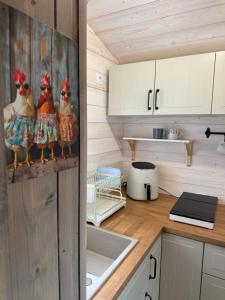 a kitchen with white cabinets and chickens on the counter at Chatka w Narwi in Narew +11 photos