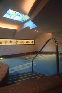 a large swimming pool in a building with a skylight at Relax Hotel Erica in Asiago