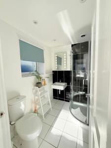 a bathroom with a toilet and a shower and a sink at Tŷ Treflan in Aberdyfi