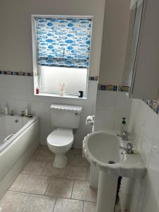 a bathroom with a toilet and a sink and a window at Central Two Bed Apartment looking over the Harbour in Dunfanaghy