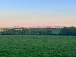 a field of green grass with trees in the background at Cranford Oak Farm Campsite in Barnstaple +11 photos