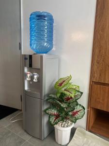 a plant sitting next to a refrigerator with a blue container at CozMila homes in Kiambu
