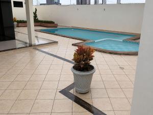 a potted plant sitting on a tile floor next to a swimming pool at Hotel Residence in Caruaru