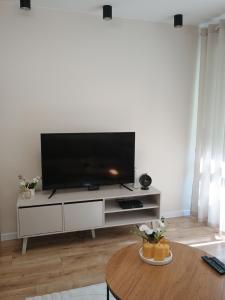 a living room with a large flat screen tv at Vespera Apartment - Retkinia in Łódź