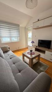 a living room with a couch and a coffee table at Banja Koviljača Apartmani Matić in Banja Koviljača
