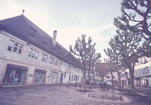 a street in a town with trees and buildings at Chez Alice 1 in Montbéliard
