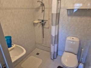 a bathroom with a shower and a toilet and a sink at Molenzicht in Elspeet