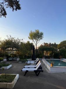 a row of benches with an umbrella and a pool at Casa Melissa in Santo António do Baldio