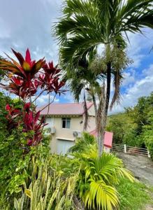 two palm trees in front of a house at Corossole in Bouillante +10 photos
