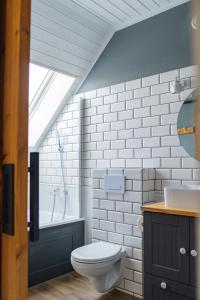 a bathroom with a toilet and a sink at apartament BB in Podgórzyn +82 photos