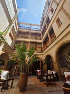 arium of a building with a vase with a plant at Riad Chbanate in Essaouira