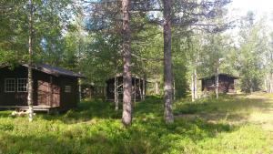 a couple of cottages in the woods with trees at Sæteråsen Hytter & Camping Trysil in Trysil