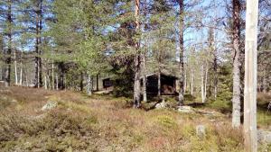 a log cabin in the middle of a forest at Sæteråsen Hytter & Camping Trysil in Trysil