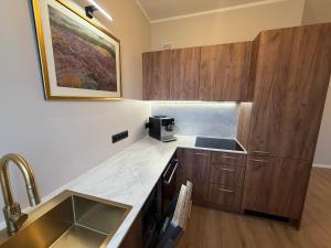 a kitchen with a sink and a counter top at Luxe Lumine Apartment #2 in Kohtla-Järve