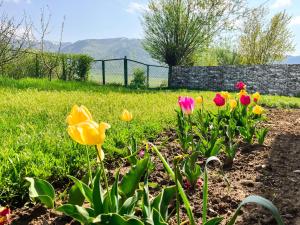 a garden with colorful flowers in the grass at Mountain View Guest House in Zhabagly